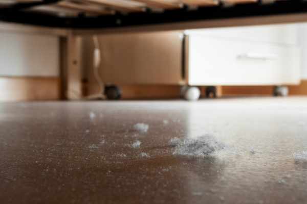 Impact of Flooring on Dust Levels